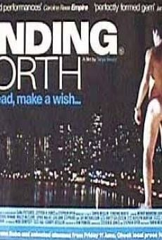 Finding North (1998)