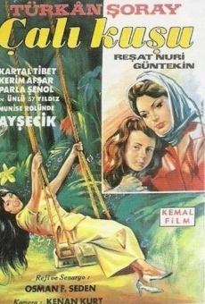 Çalikusu (1966)