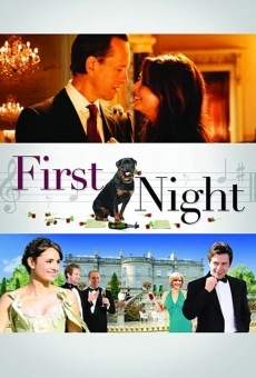 First Night (2010)