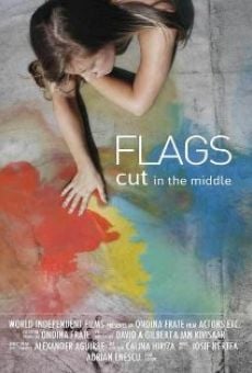 Flags Cut in the Middle (2018)