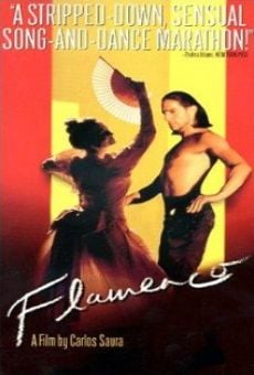 Flamenco: la passion flamenco
