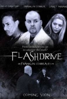 Flashdrive (2012)