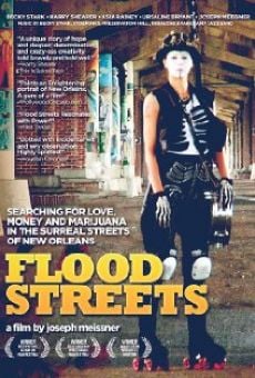 Flood Streets online streaming
