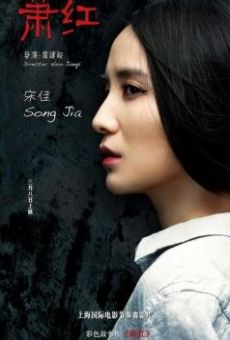 Xiao Hong / Falling Flowers (2012)