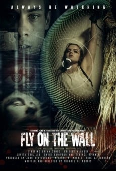 Fly on the Wall online streaming