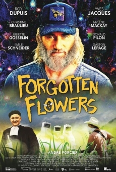 Les fleurs oubliées gratis