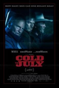 Cold in July - Freddo a luglio online streaming