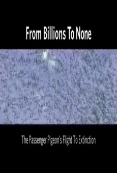 From Billions to None: The Passenger Pigeon's Flight to Extinction en ligne gratuit