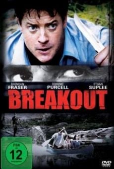 Breakout (Split Decision) online free