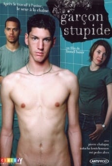 Garçon stupide (2004)