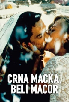 Crna macka, beli macor (1998)