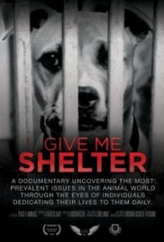 Give Me Shelter online streaming
