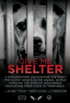 Give Me Shelter