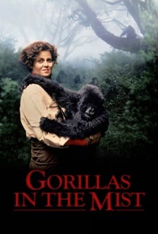 Gorilla nella nebbia online streaming