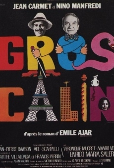 Gros câlin (1979)