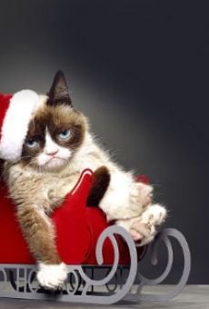 Joyeux Noël Grumpy Cat!