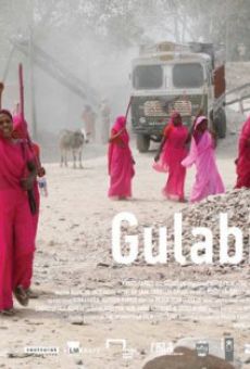 Gulabi Gang on-line gratuito