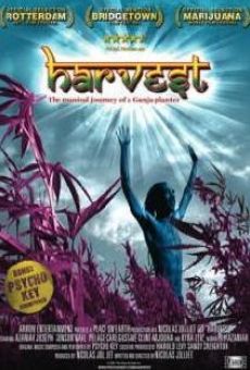 Harvest on-line gratuito