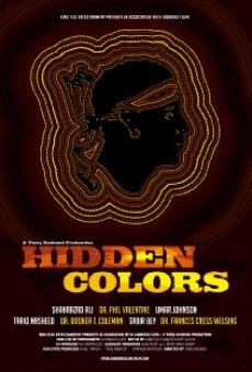 Hidden Colors (2011)