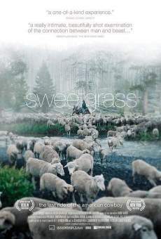 Sweetgrass stream online deutsch