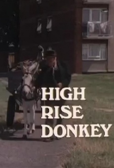 High Rise Donkey online