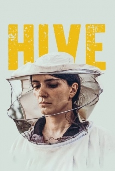Hive online streaming