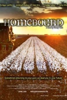 Película: Homebound