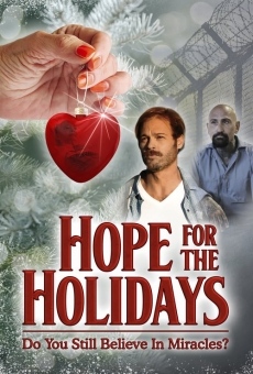 Hope For The Holidays online streaming