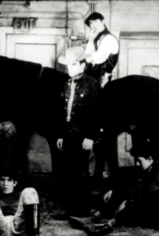 Horse (1965)