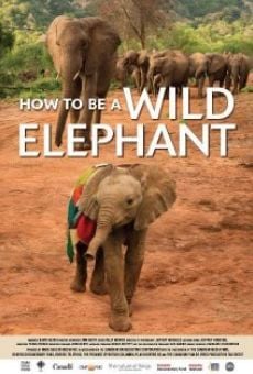 How to Be a Wild Elephant online streaming