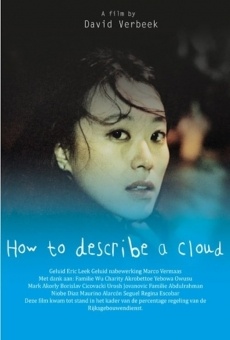 How to Describe a Cloud (2013)