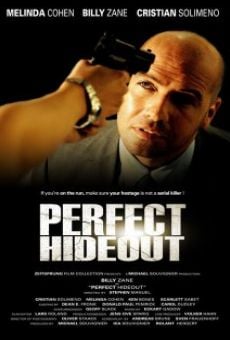 Perfect Hideout online streaming