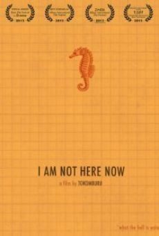I Am Not Here Now online streaming