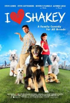 Shakey, un amour de chien