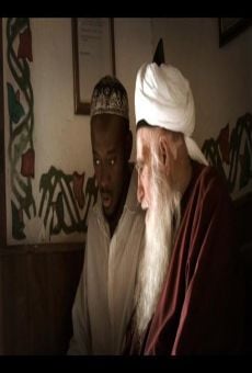 Película: Ibn Arabi, el esplendor de Al-Andalus