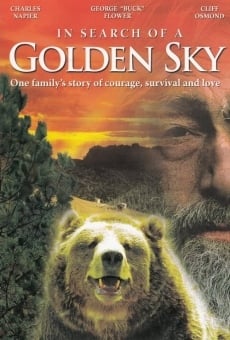 In Search of a Golden Sky online free
