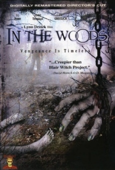 In The Woods online streaming