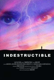Película: Indestructible