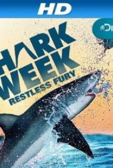 Into the Shark Bite online streaming