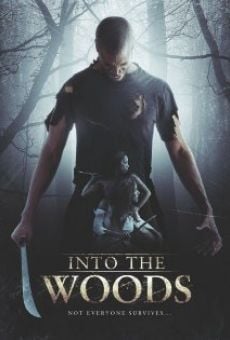 Into the Woods online streaming