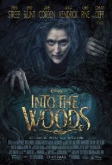 Into the Woods online streaming