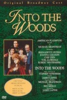 Película: Into the Woods