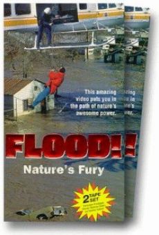 Flood! on-line gratuito