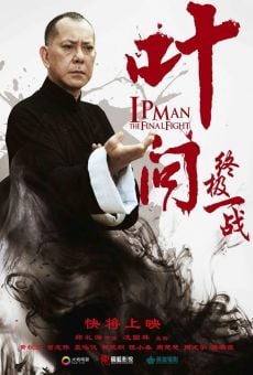 Película: Ip Man - La Ultima Pelea