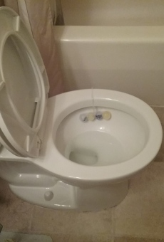 Jethro Leaves the Toilet Seat Up online free