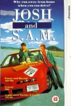 Josh and S.A.M. (1993)