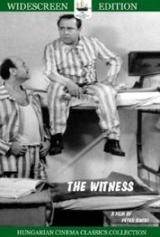 The Witness en ligne gratuit