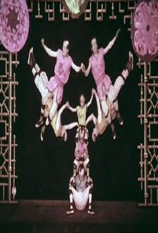 Les Kiriki, acrobates japonais online streaming