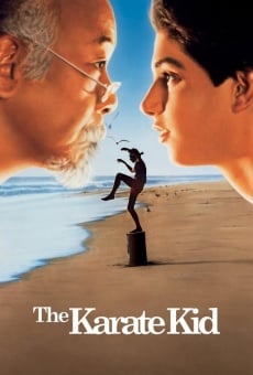 The Karate Kid, película en español