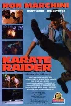 Película: Karate Raider